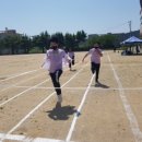 평해초등학교 이미지