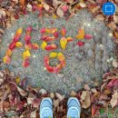 Autumn Leaves / The Greymen / I Want To Hold Your Hand / You're My Heart드럼 이미지