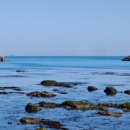 기장군청 이미지