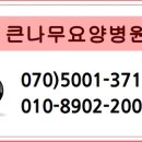 의료법인 큰나무의료재단 이미지