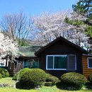 국립희리산해송자연휴양림 이미지