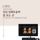 강남 입체초음파 잘 보는 곳, 압구정 여의사 산부인과｜삼성서울병원 출신 전문의와 V8 초음파로 만나는...