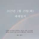 위너스레이저