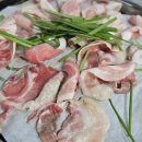 과역터미널 | 전남 고흥군 과역면, 웨이팅 백반 맛집 : 예약으로 가득 찬 백반 맛집 과역기사님식당 (내돈내산 솔직후기)