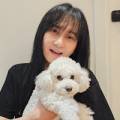 세종국악관현악단＆김경호의 아리랑목동 네이버블로그