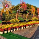 배산체육공원 건너편 이미지