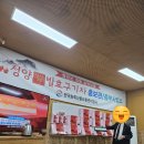 권재희 | 🚫 [실시간 여행 후기] 남이섬보다 홍보관이 더 기억에 남은 ‘패키지 여행’의 진실