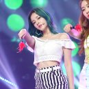 오프더데이지 이미지