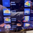 5707 | 노량진 방어회 투어 완전 정복 — 전라상회 방어회 + 수산회관 초장집 이용 후기