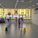 타이거 유치부 태권도 전용관 | 세종 고운동 태권도::건강한 성장을 위한 타이거유치부태권도전용관