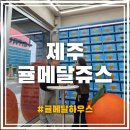 귤하우스 | 제주귤메달쥬스 와인처럼 골라 마신다고? 귤메달하우스 직접 다녀온 솔직 후기!