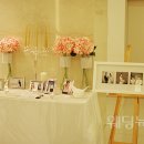 작은연출 베이비뉴스
