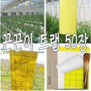 아그로텍