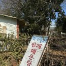 약산정일 | 파주 헤이리 맛집 참게 매운탕 30년 전통 약산정