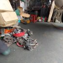 대한부란자 이미지