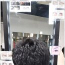 피우다, 헤어 이미지