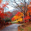 인철농장 이미지