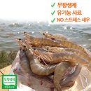 왕새우와회사랑