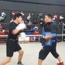 번영 복싱체육관 이미지