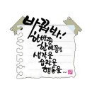 할배목공소 사회적협동조합 | "우리는 청춘이다"…나이 잊은 'K-할배·할매' 종횡무진 활약