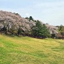 상당산성 이미지