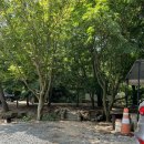 유명해물나라 | 태안 여행 덕수식당, 유명해물나라 후기