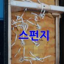 제일출장밴드 네이버블로그