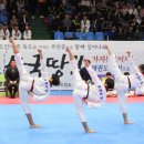 계명태권도 이미지