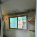 써니하우스 이미지