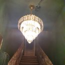 맥주를구한피자 이미지