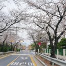 개화부동산공인중개사사무소 이미지