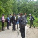 신의터재(어산재) | 큰재-회룡재-백학산-개머리재-지기재-신의터재(백두대간 제15구간)