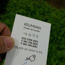 금난의 집 이미지