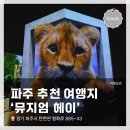 평화로08 | 경기도 파주 여행지,약 1,200평 규모 <뮤지엄 헤이> 탐방 및 관람 후기