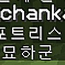 피디첸