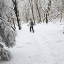 동이목장 이미지