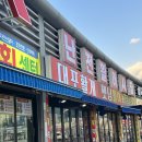 대포 크랩 | 속초 대포활게 대포항 킹크랩 대게 내돈내산 맛집 강추하는 곳