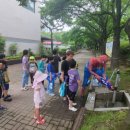 금모래 태권도장 이미지