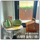 스테이들락 네이버블로그