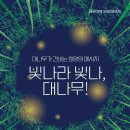 푸른 대숲에서 찾는 힐링과 낭만: 2026 담양 대나무축제 완벽 가이드 이미지