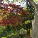 햇살복집 이미지