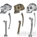 (주)대영통신 이미지