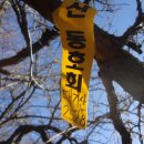 대촌마을회관 이미지