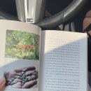 동촌제일유치원 | 대구 수성구 일유 보노유치원 입학설명회 프로그램 방과후 어학원 비용 모집인원 시설 상세후기