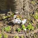 가장자리 이미지