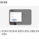 파라바라 이미지