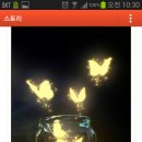 금나비 이미지