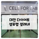 명절 다이어트는 대전 셀포랩셀레네 히트니스테라피로