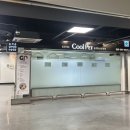 쿨펫동물병원 | 일산 수술전문병원 쿨펫동물병원에서 슬개골 재수술한 솔직후기