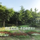 윤경농장 | [서울 여행 서울숲] 빌딩숲 사이에 진짜 숲이있다